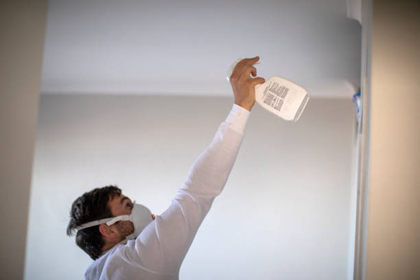 Best Mold Testing and Removal  in Vamo, FL