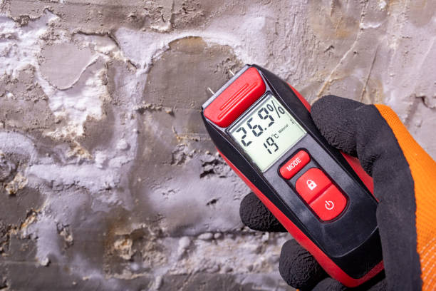 Best Residential Mold Removal  in Vamo, FL