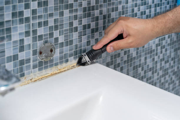 Best Black Mold Removal  in Vamo, FL