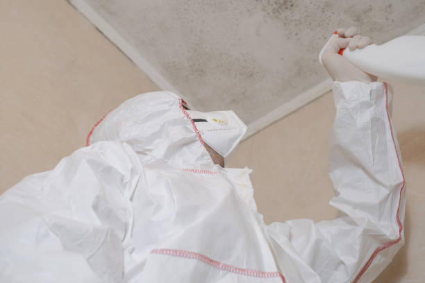 Water Damage Restoration in Vamo, FL