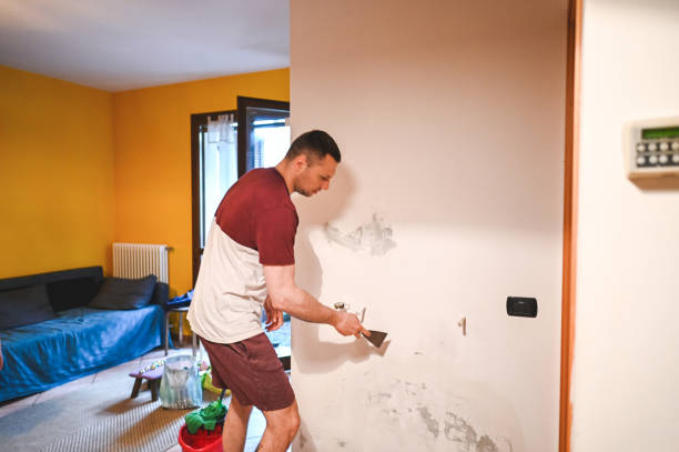 Best Mold Damage Repair  in Vamo, FL